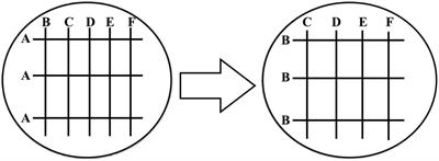 Design and application of an efficient cellulose-degrading microbial consortium and carboxymethyl cellulase production optimization